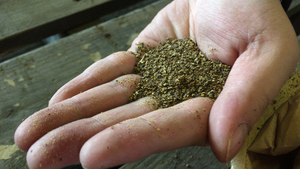 化学肥料とはおさらば 本格的な有機肥料の作り方 施設園芸 Com