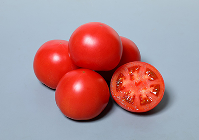 トマトの病気対策は品種選びから！病害虫に強い品種とは？ | 施設園芸.com