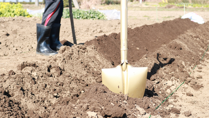 硫安 肥料 の効果的な使い方とは 種類や特徴も徹底解説 施設園芸 Com